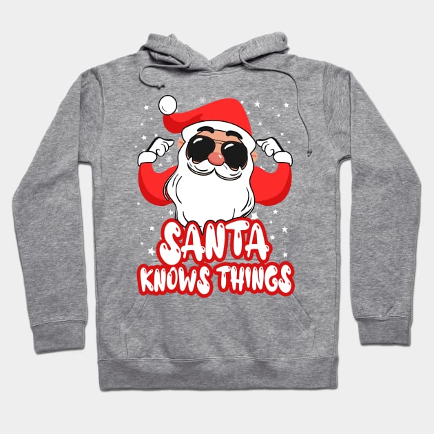Santa Knows Things Hoodie by GLStyleDesigns